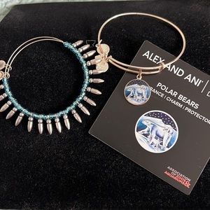 Alex and Ani Winter Set (2 pieces) 💙